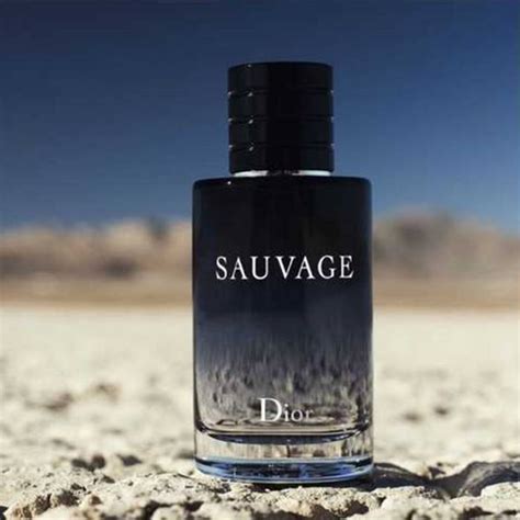 dior sauvage satın al|dior sauvage fiyatları 2022.